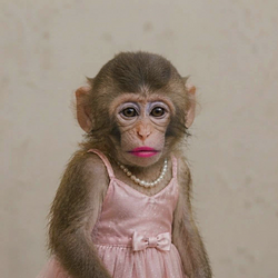 APEPINK