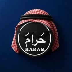 Haramcoin / SOL