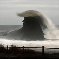 Ocean