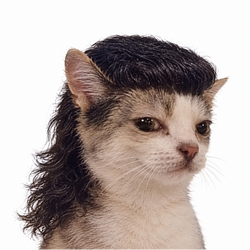 MOG