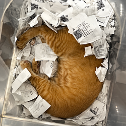 TIXCAT
