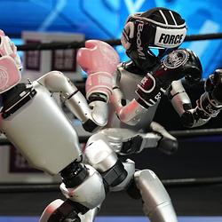 FIGHTBOT