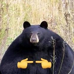 UWU