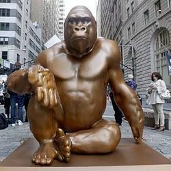 Harambe / SOL