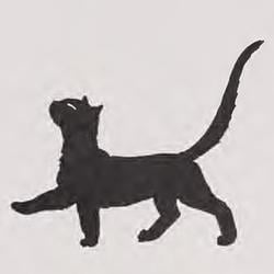 CHONK