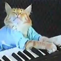 KBCAT