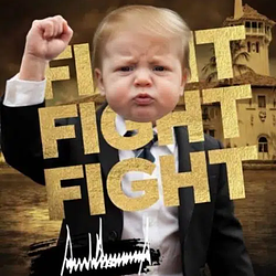 BabyTrump / SOL