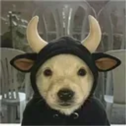 BULLCHUA