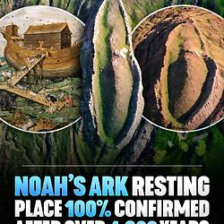 NOAH