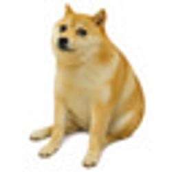 CASHDOG / SOL