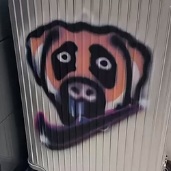 Krimoe