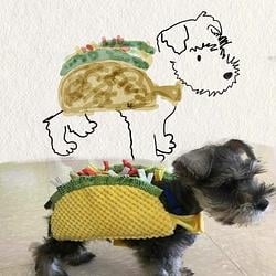 TACODOG
