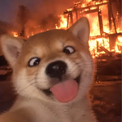 ちいかわ