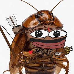 cockroach / SOL