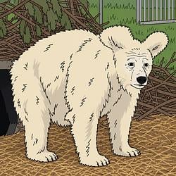 SHAGGY