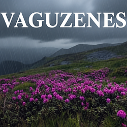 VAGUENESS / SOL