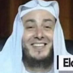 ELON / SOL