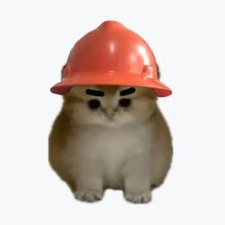 WOWCAT