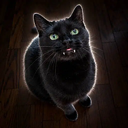 Vampurr