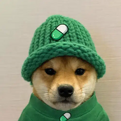 inu