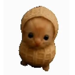 nutcat / SOL