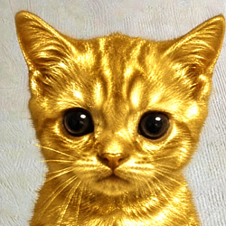 Midas