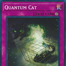 QNTCT