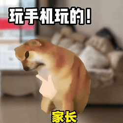 玩手机玩的 / BNB
