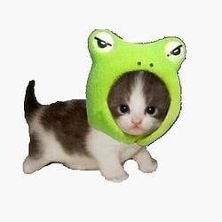Midori / SOL