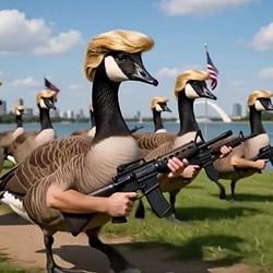 DUCKS