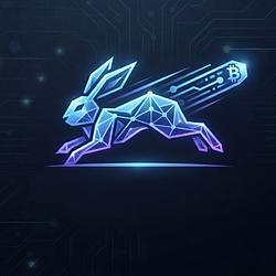 RABBIT / SOL