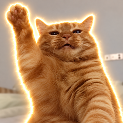wavecat