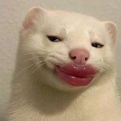 (O)