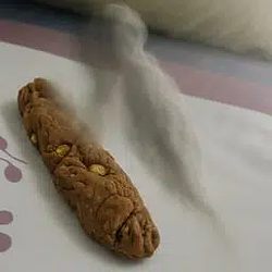 poo piece