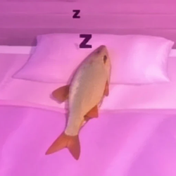 zzz
