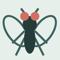 FLYBOT / WETH