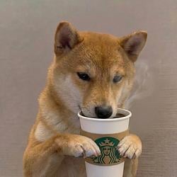 coffeeinu