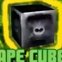 APE CUBE