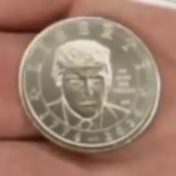 TrumpCoin / SOL
