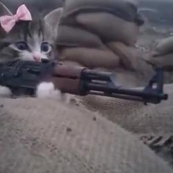 pubg