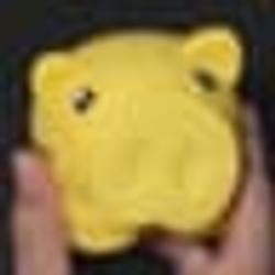 Bpig