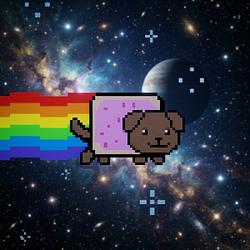 Nyan Dog