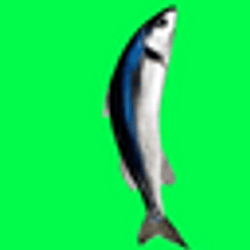 SFISH / SOL