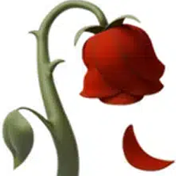 🥀