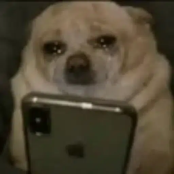 SADDOG