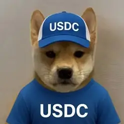 USDCINU / USDC