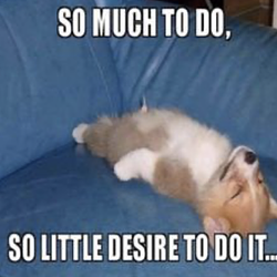 Lazy
