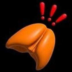 KNOB