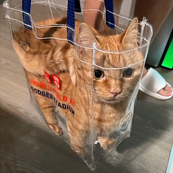in