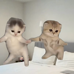 cats / SOL